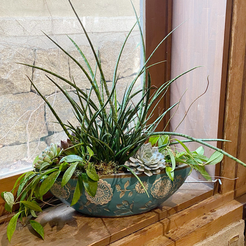 インテリアグリーン!サンスベリアと多肉植物の寄せ植え 新築御祝い 設立御祝いに!【人気の寄せ植え】